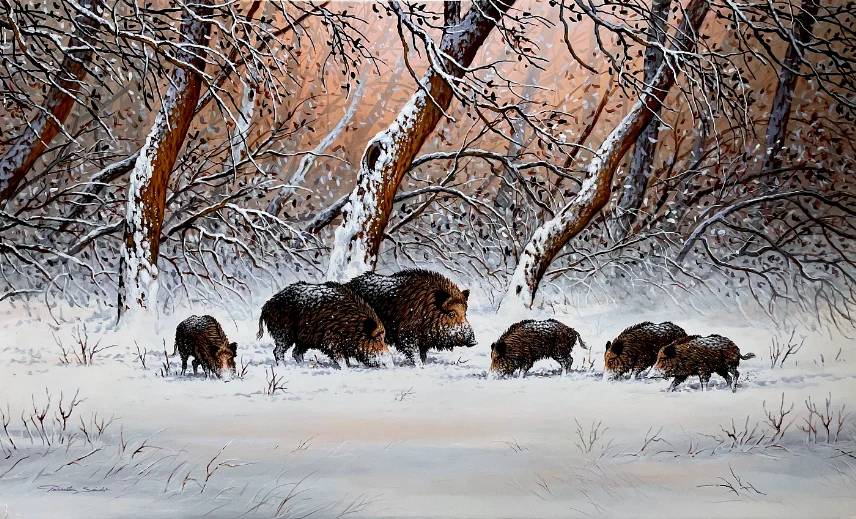Pankotai Sándor festőművész Vaddisznó család - téli erdő 60x100 cm olajfestmény